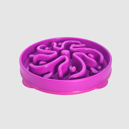 Fun Feeder Slow Bowl